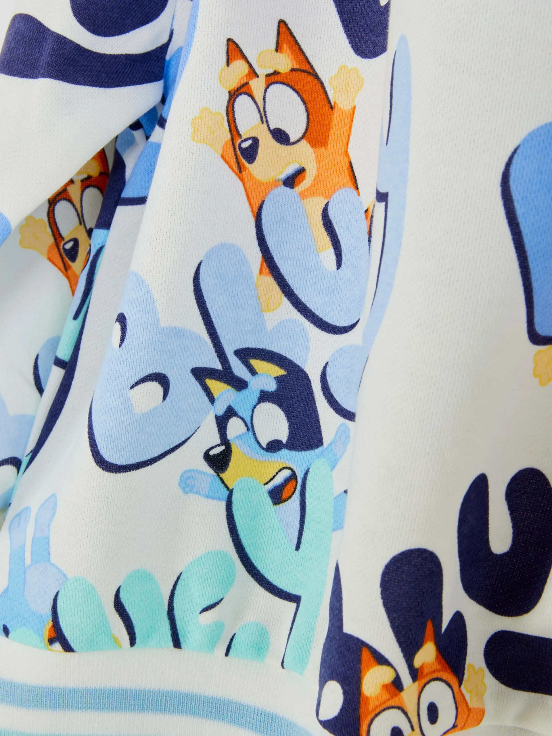 Bluey Graphic Sweatshirt|Primark Online