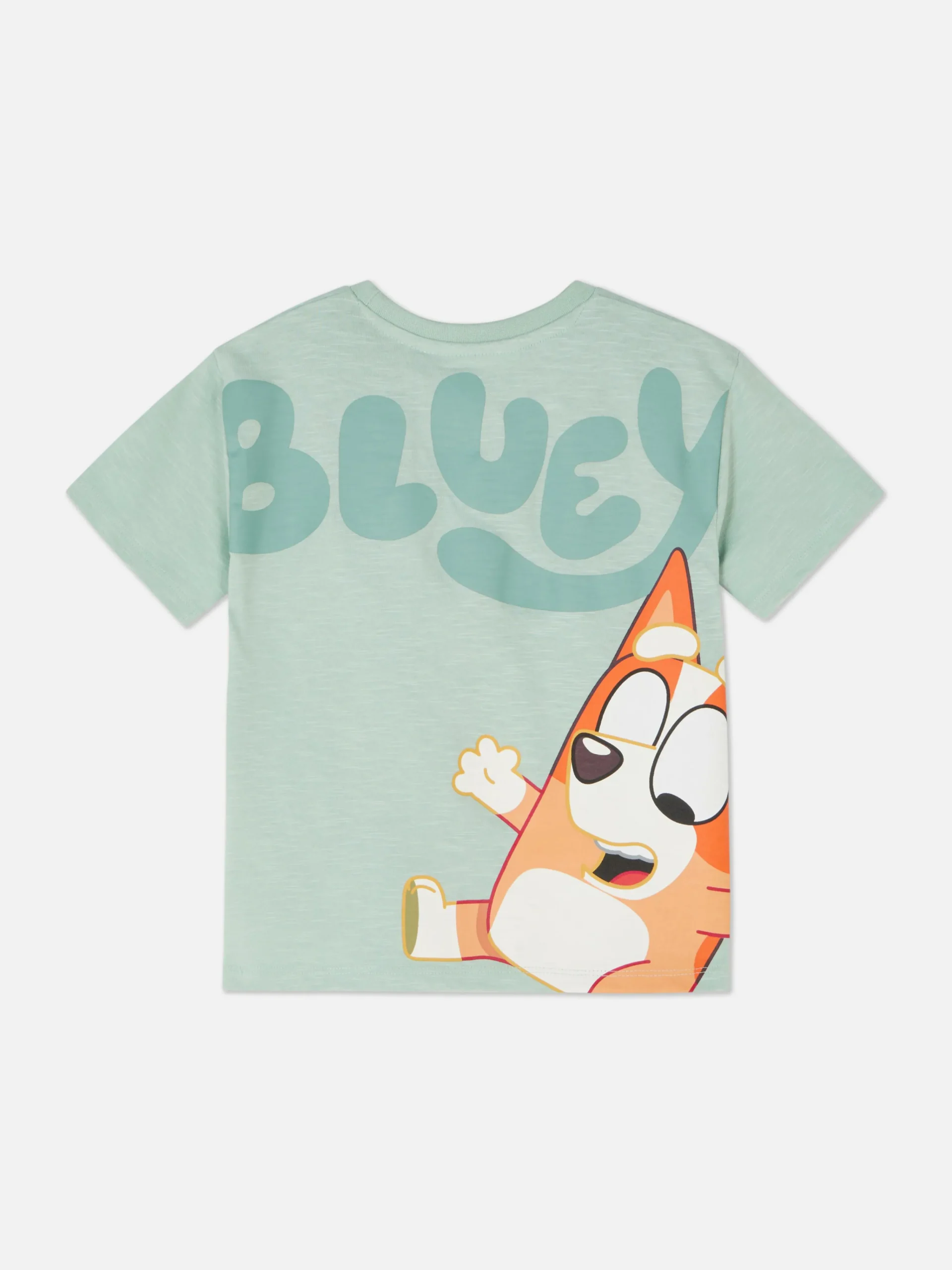 Bluey T-Shirt|Primark Online