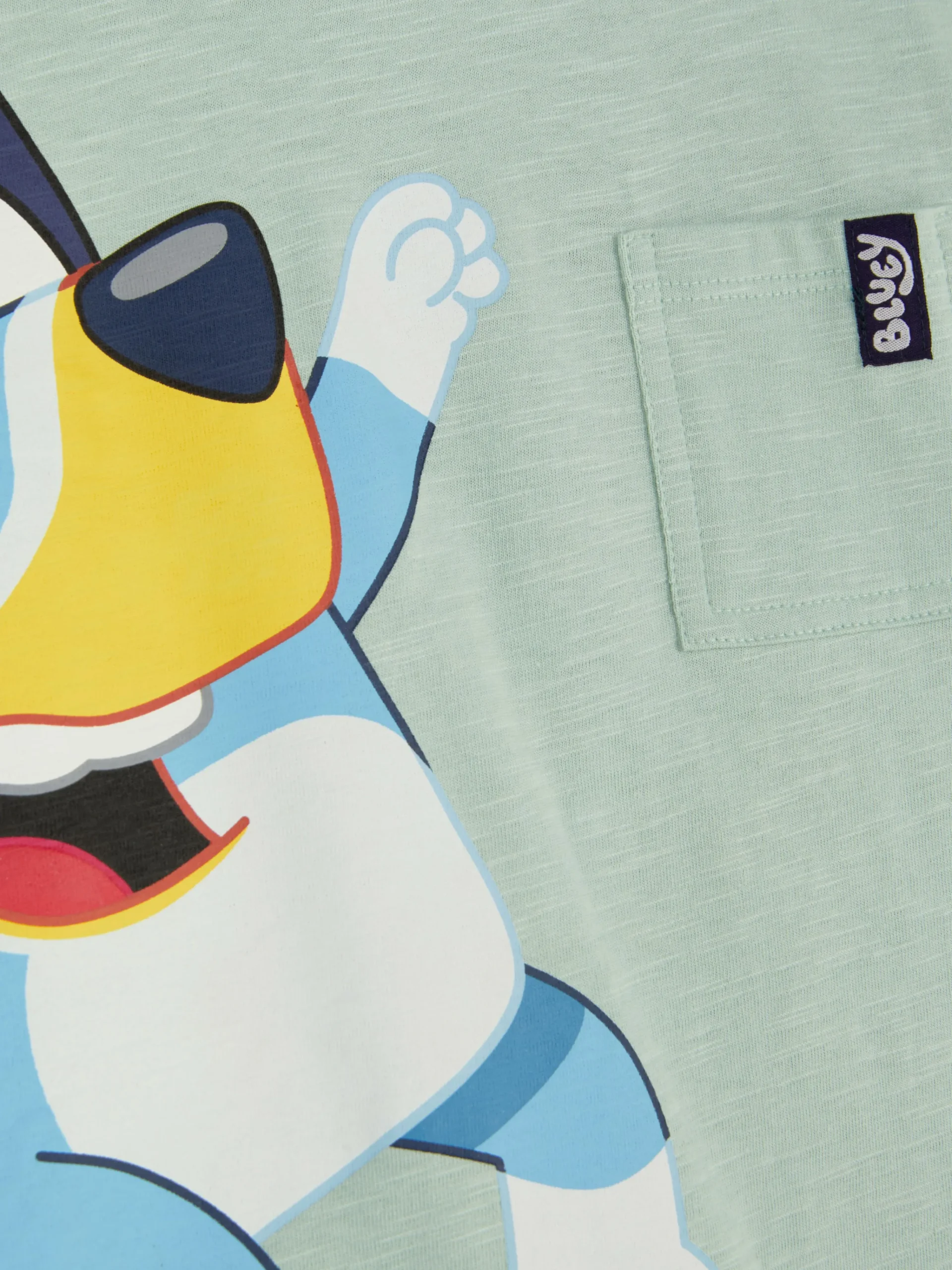 Bluey T-Shirt|Primark Online