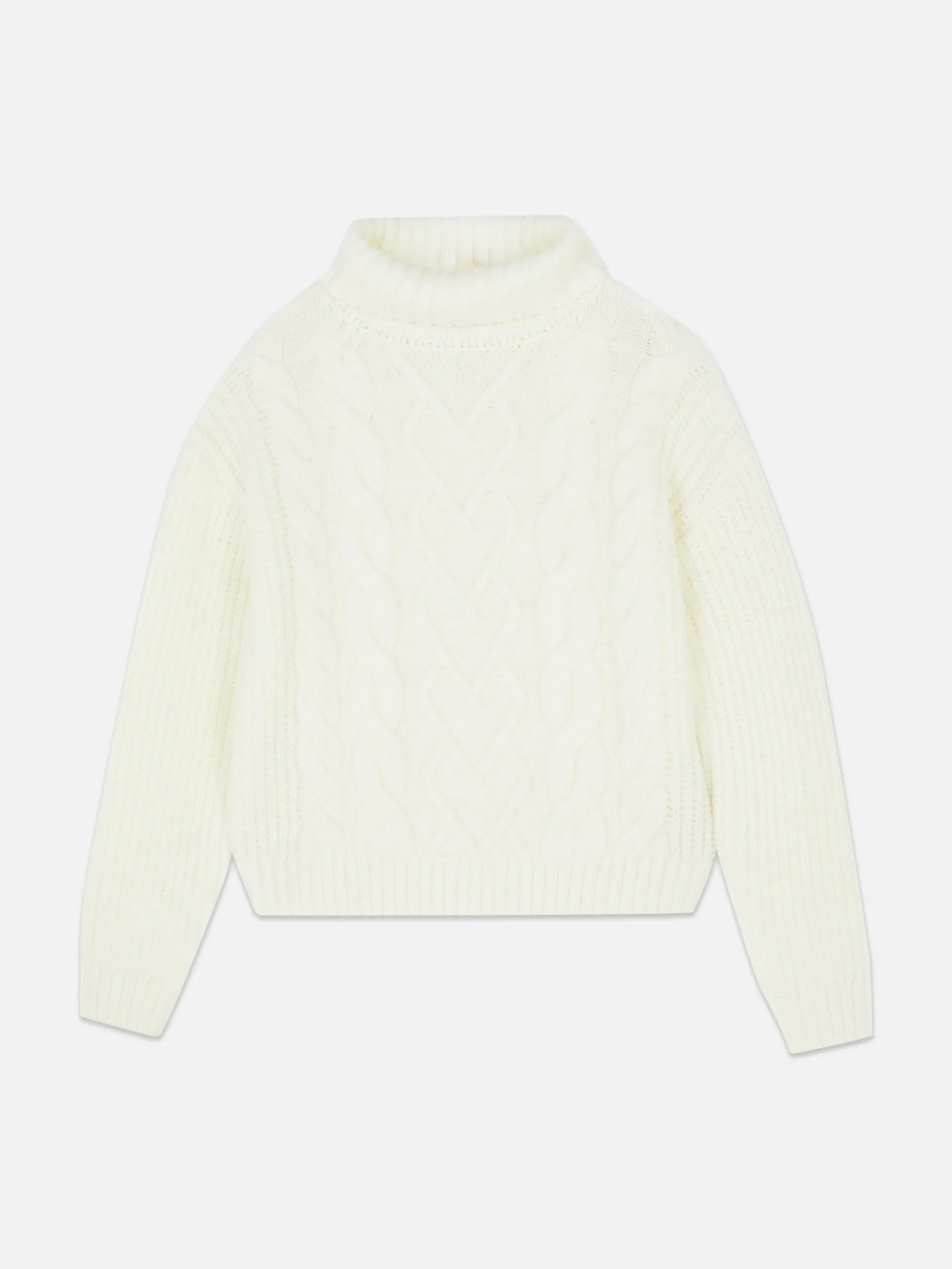 Cable Knit Roll Neck|Primark Hot
