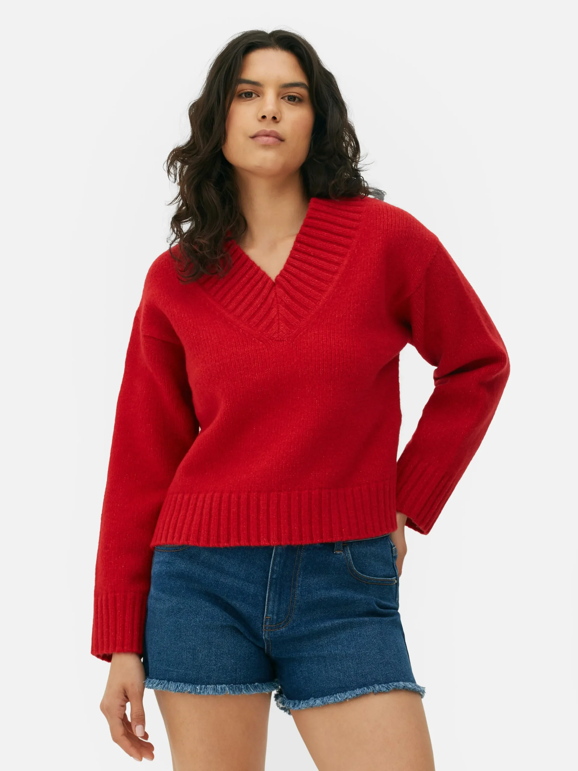 Chunky V-Neck Sweater|Primark Discount