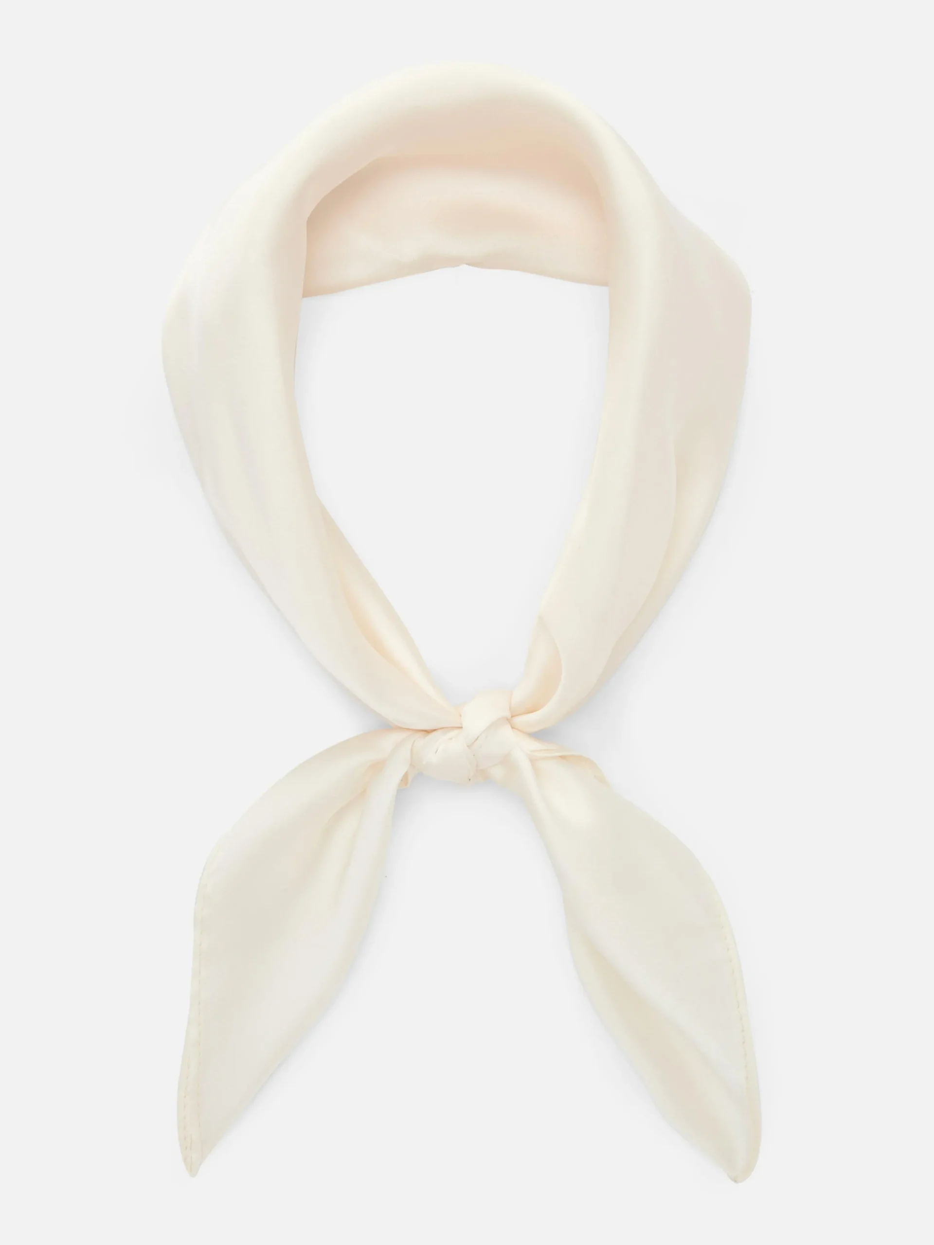 Classic Satin Scarf|Primark Best