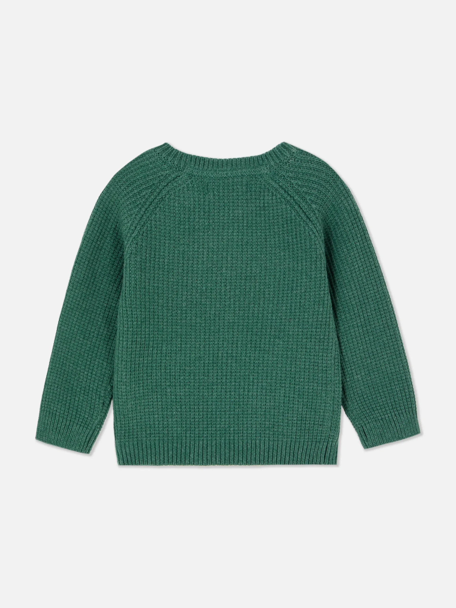 Dinosaur Sweater|Primark Clearance