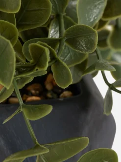 Faux Hanging Succulent In Geometric Pot|Primark Hot