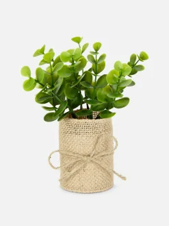 Faux Succulent In Jute Pot|Primark Hot