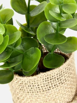 Faux Succulent In Jute Pot|Primark Hot