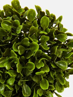 Faux Succulent In Pod|Primark Hot