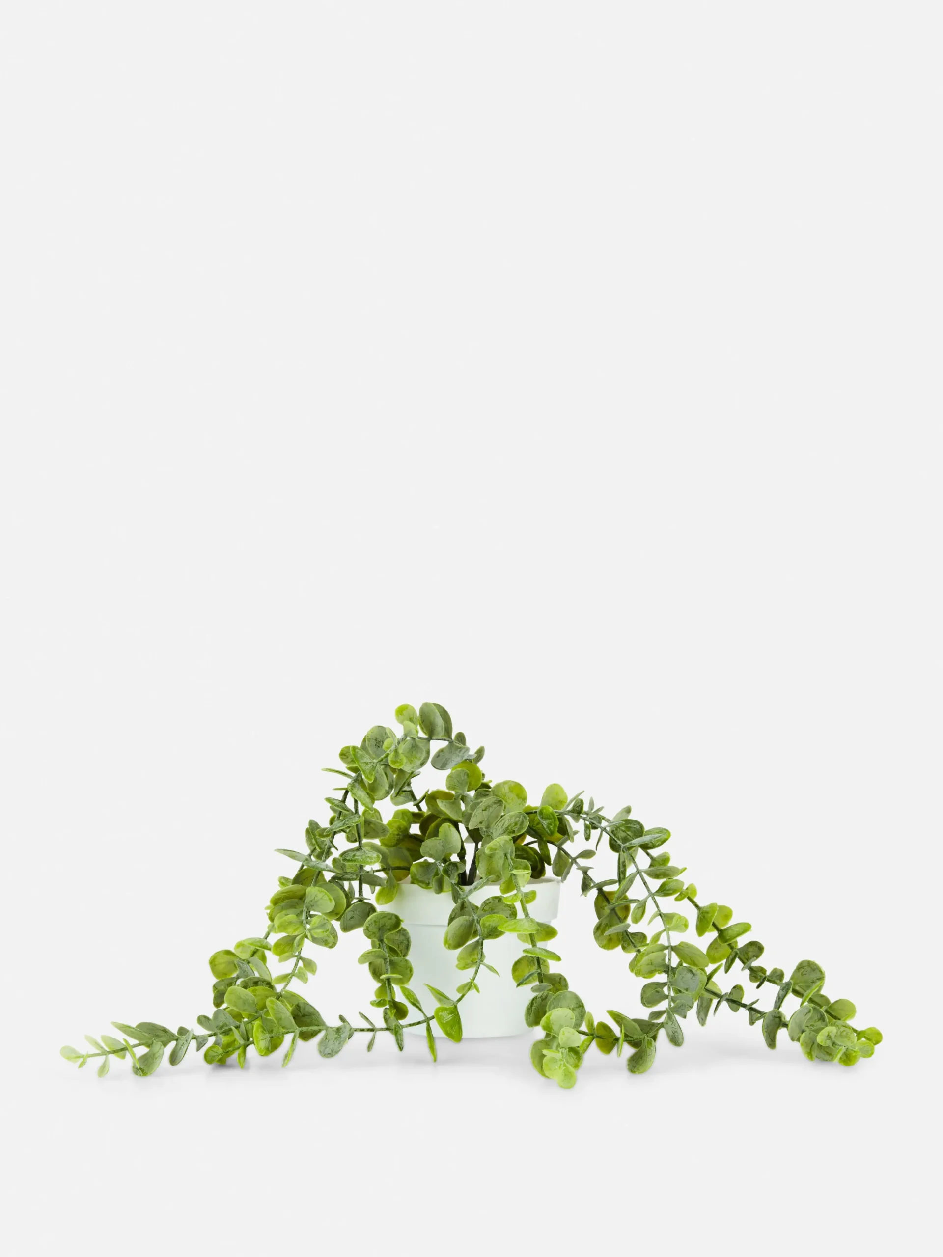 Faux Trailing Plant In Pot|Primark Clearance