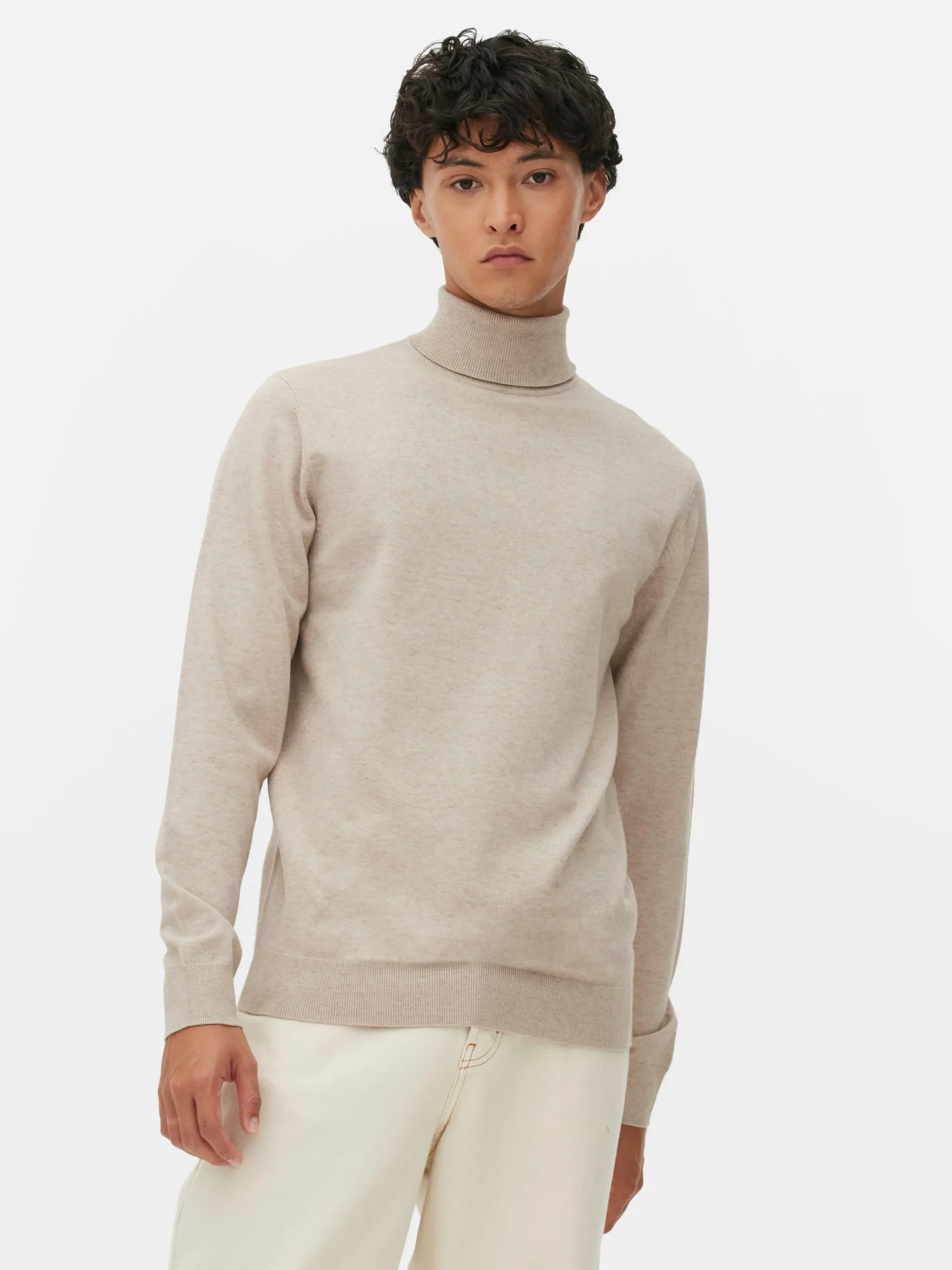 Fine Knit Roll Neck Sweater|Primark Sale