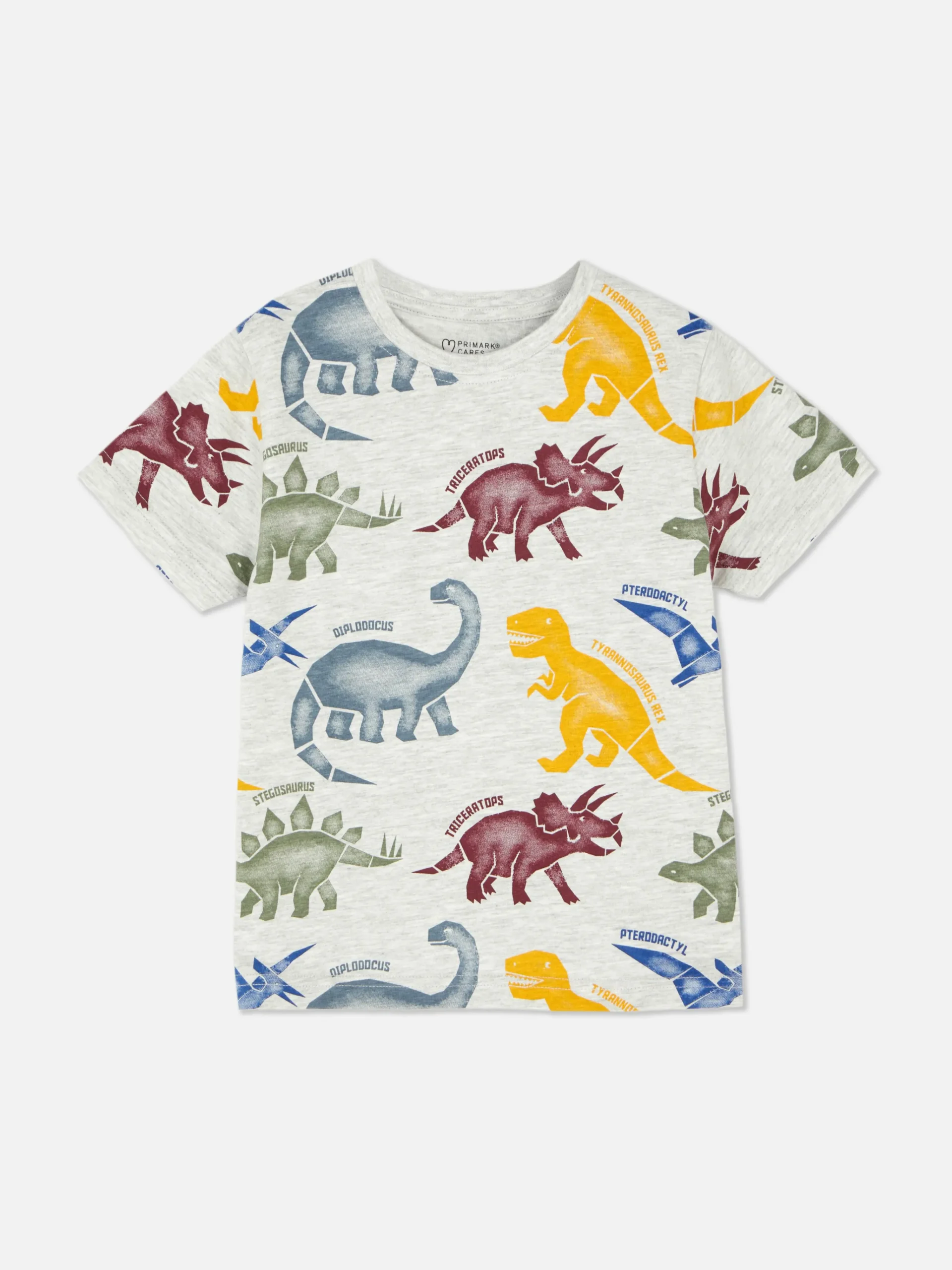 Graphic Short Sleeve T-shirt|Primark Online