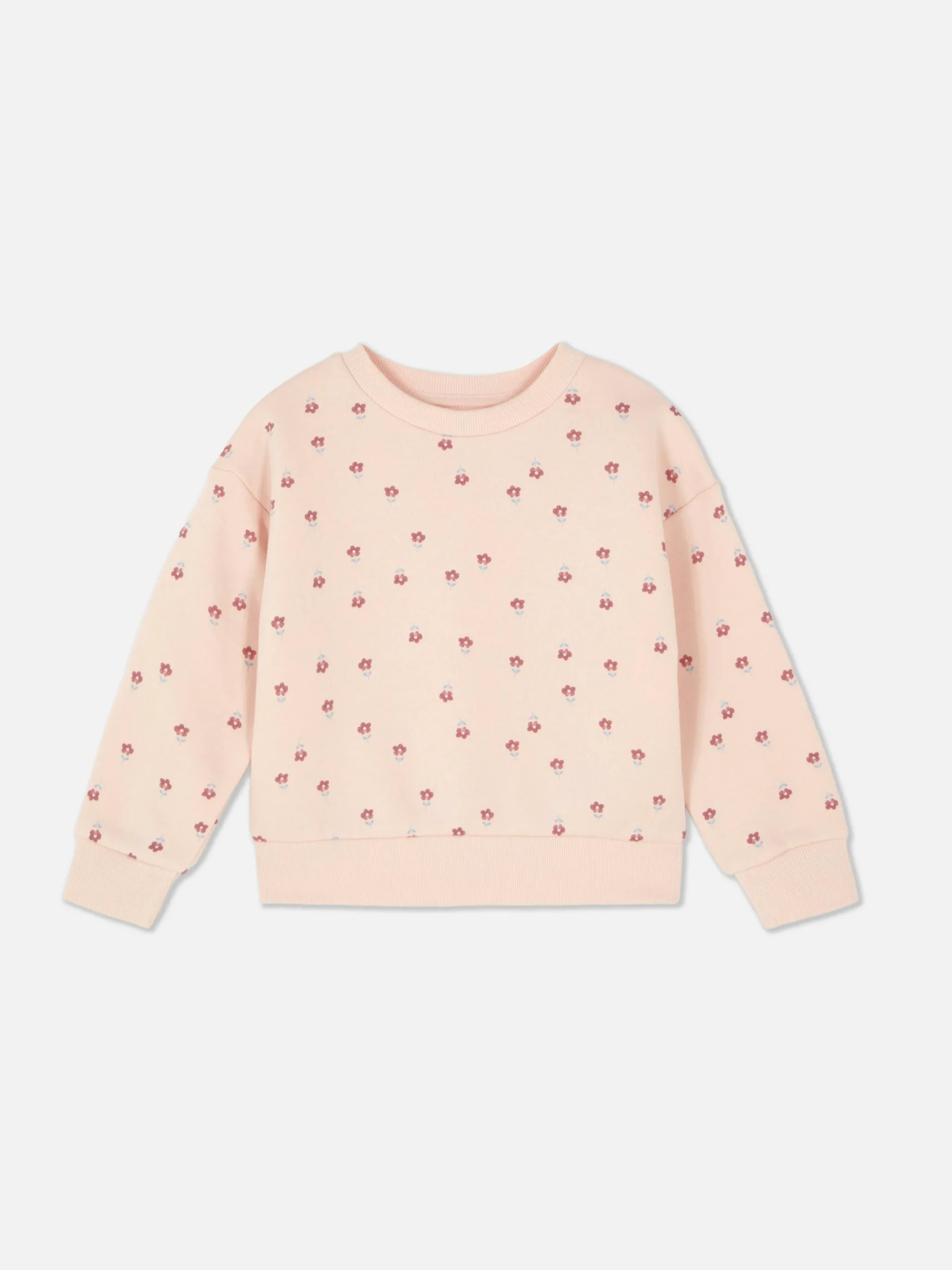 Graphic Sweatshirt|Primark Hot
