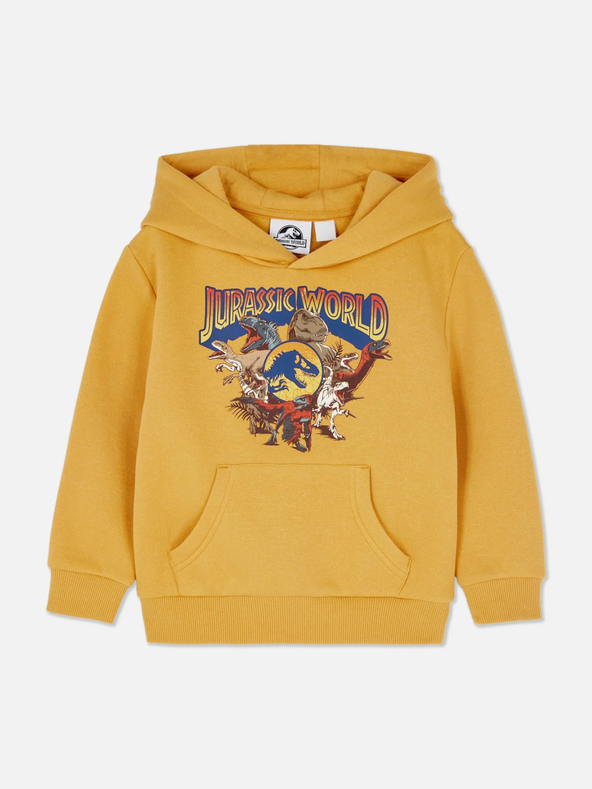 Jurassic World Graphic Hoodie|Primark Online