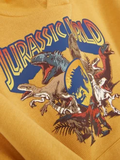 Jurassic World Graphic Hoodie|Primark Online