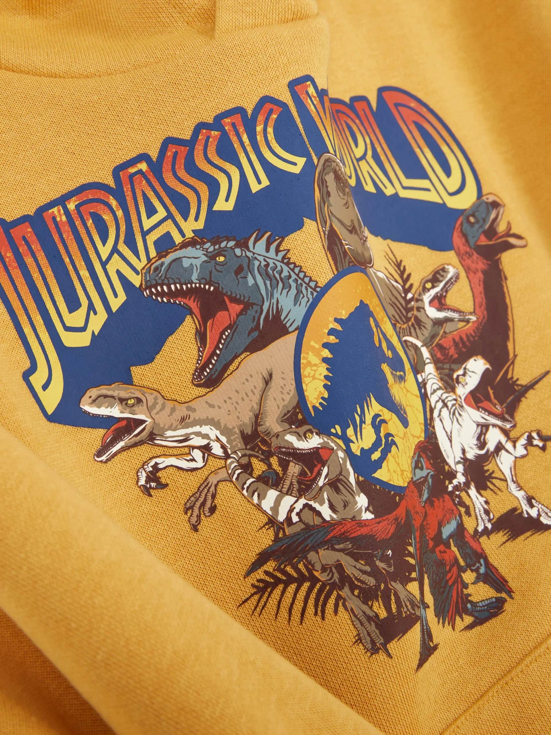 Jurassic World Graphic Hoodie|Primark Online