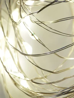 LED Firefly String Lights|Primark