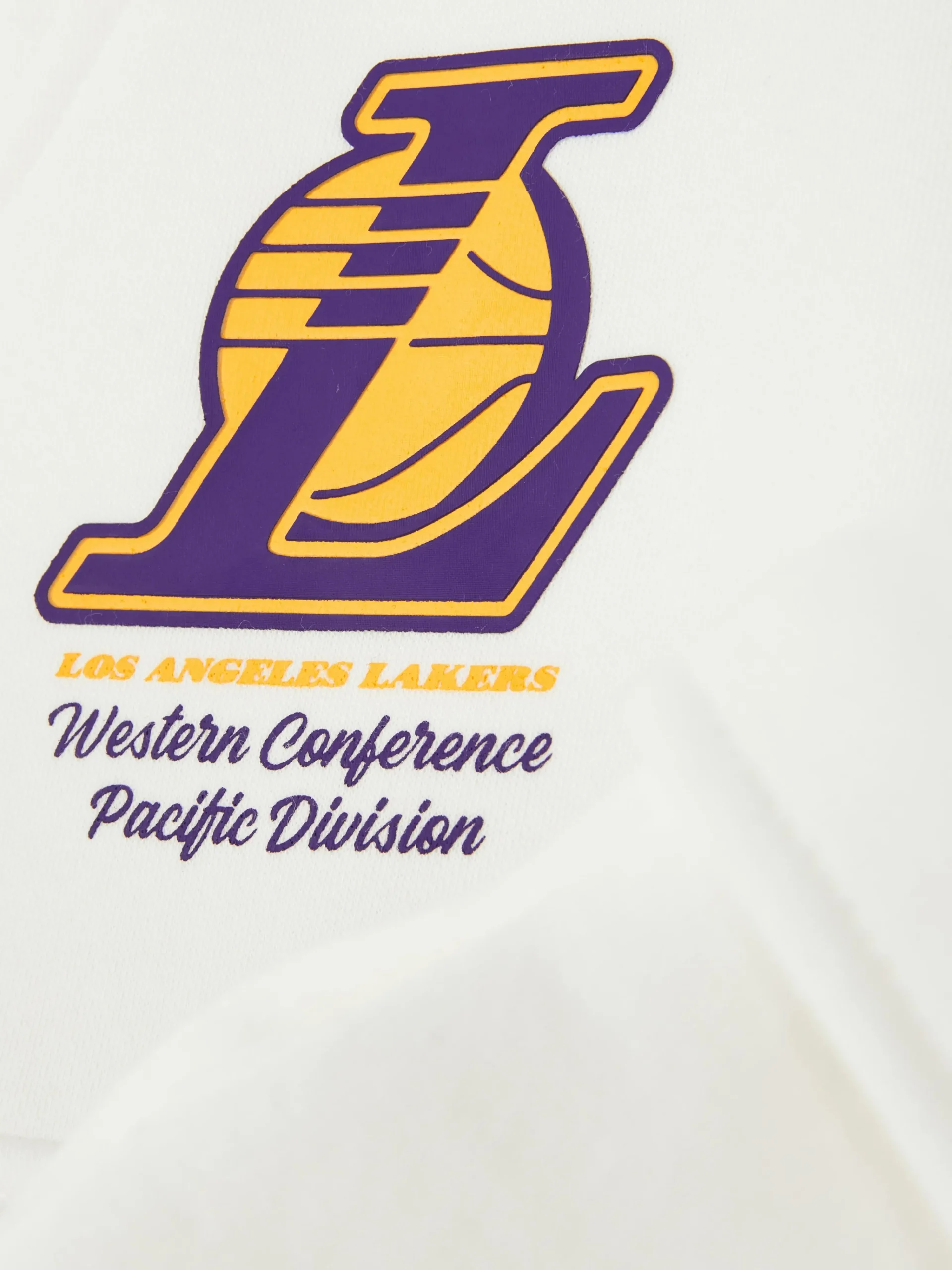 NBA Los Angeles Lakers Cargo Joggers|Primark Clearance