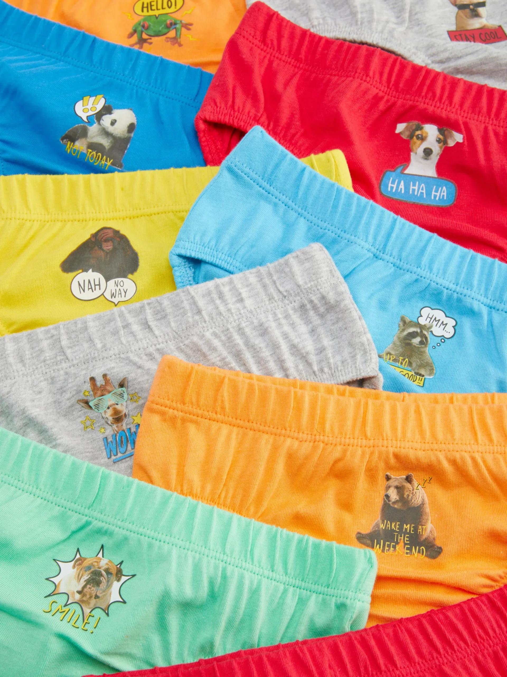 10-Pack Animal Graphic Briefs|Primark