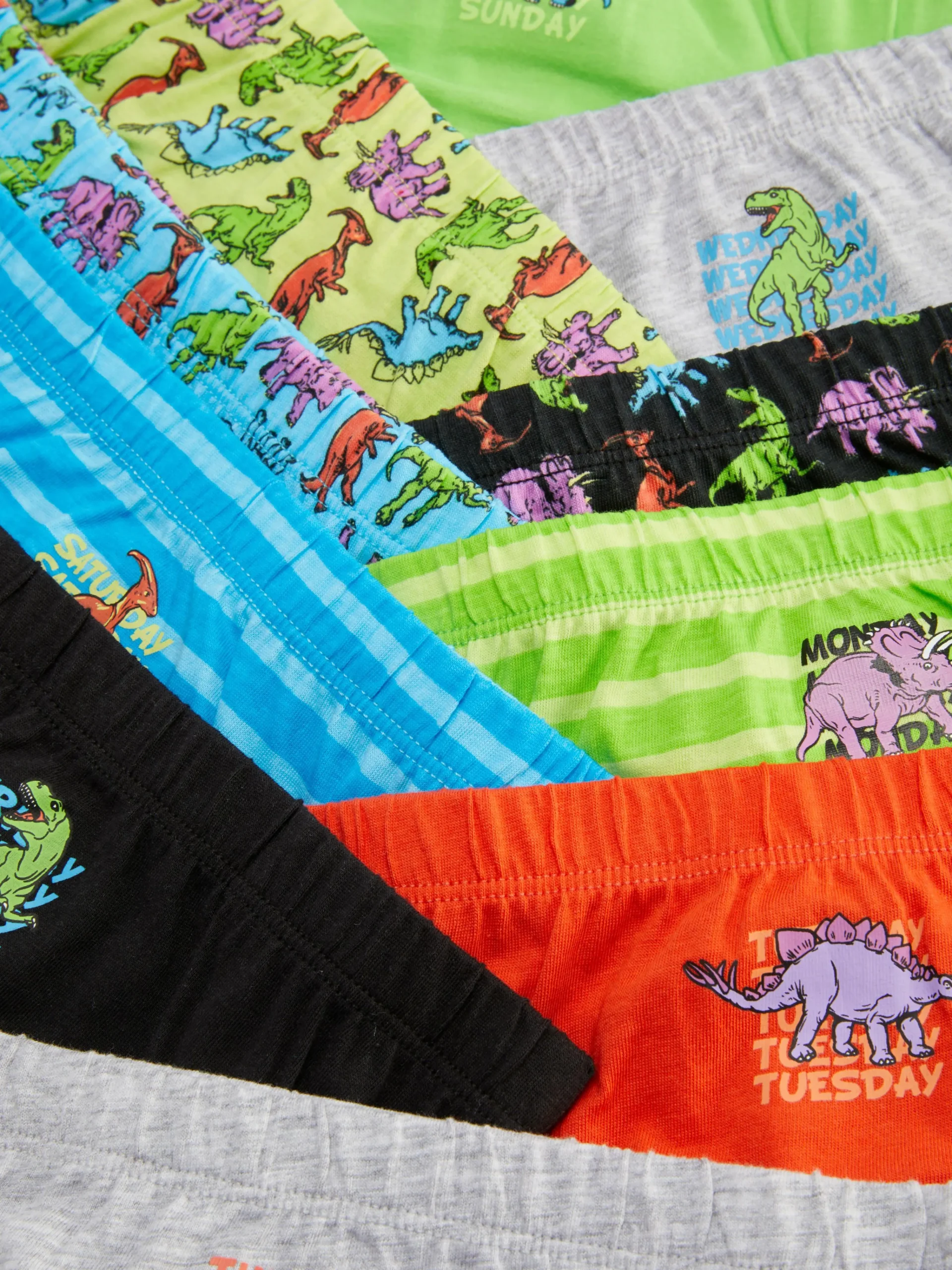 10-Pack Dinosaur Days Of The Week Briefs|Primark Sale