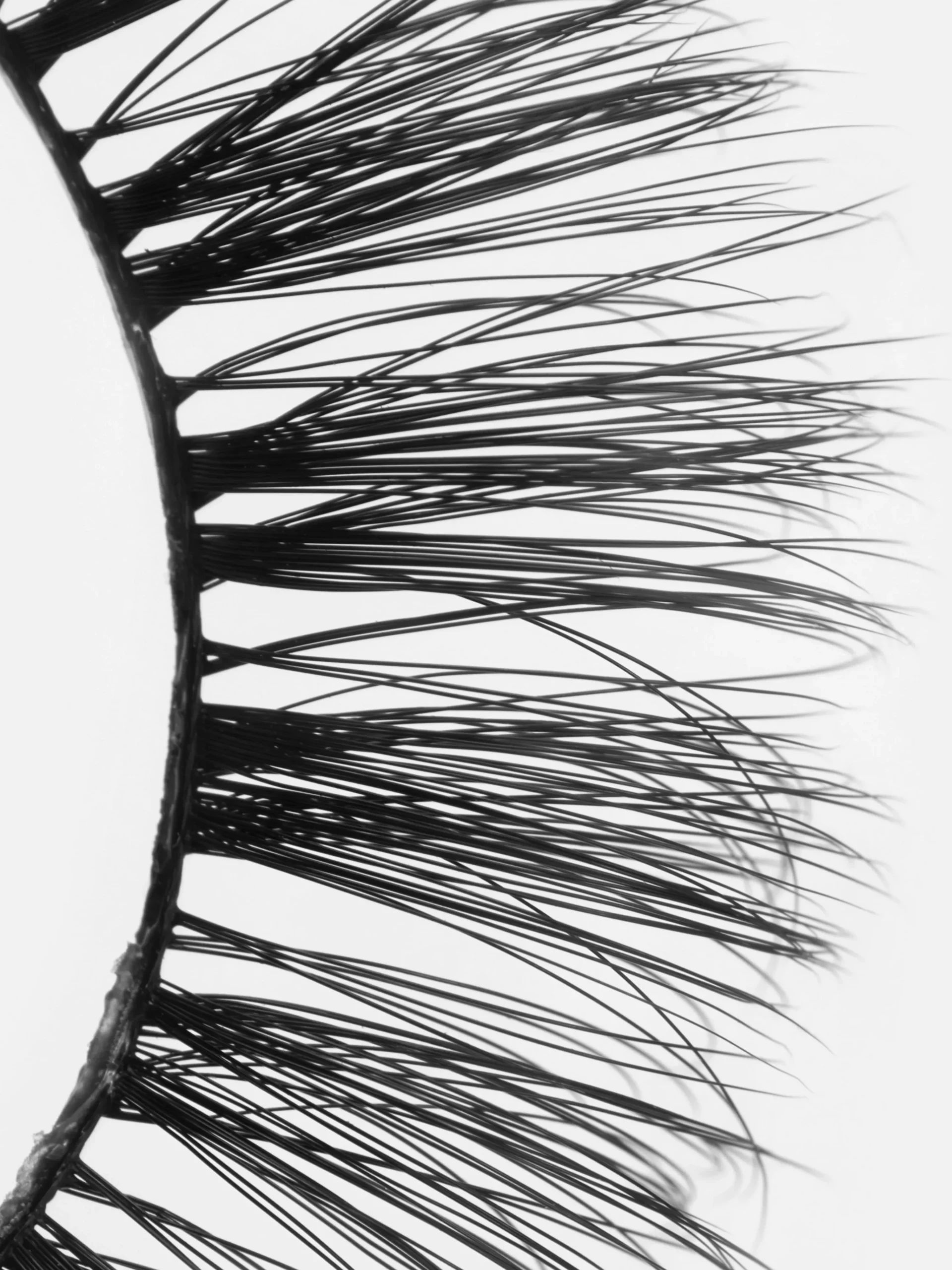 PS Faux Lashes|Primark Discount
