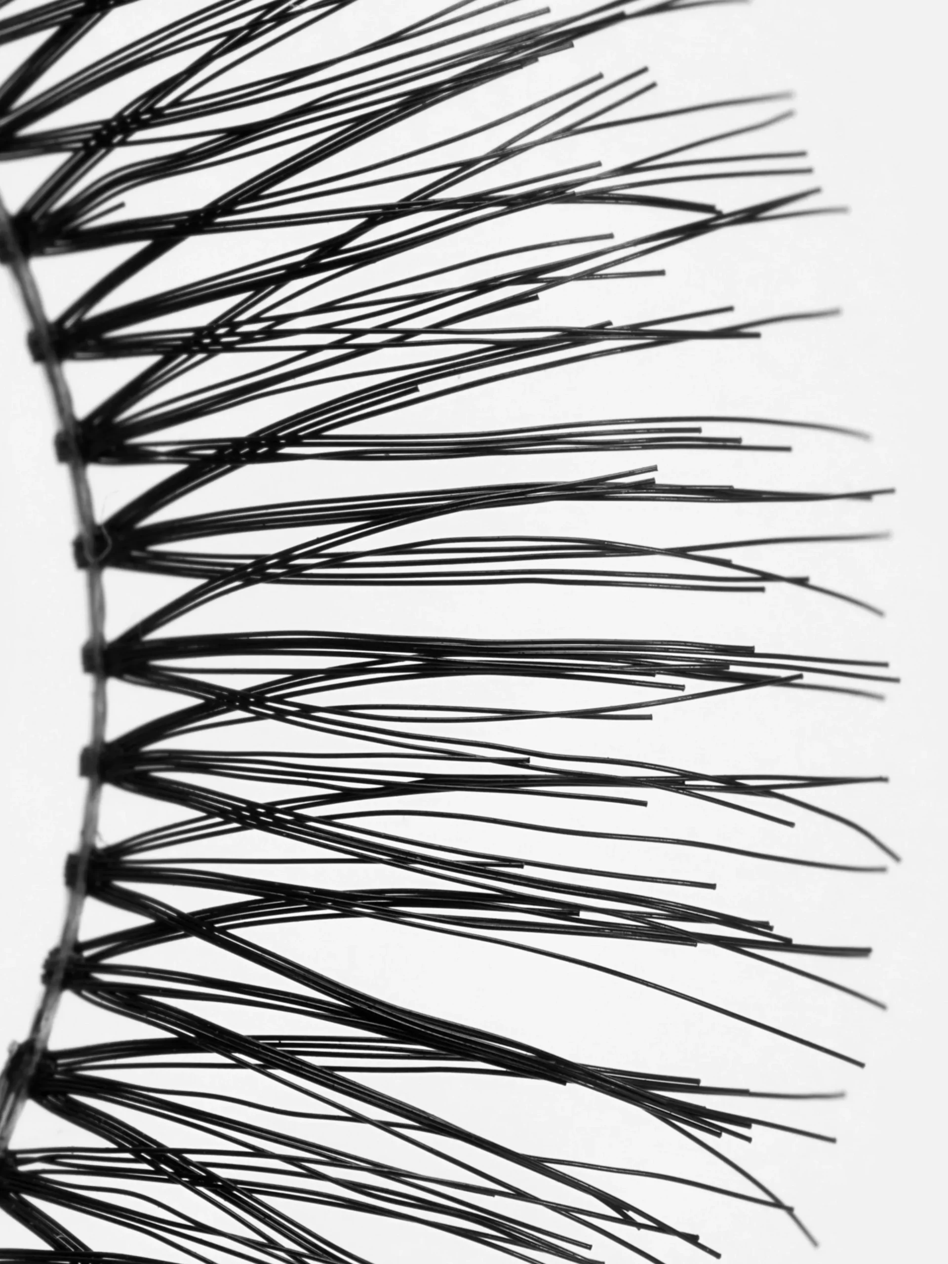 PS Faux Lashes|Primark