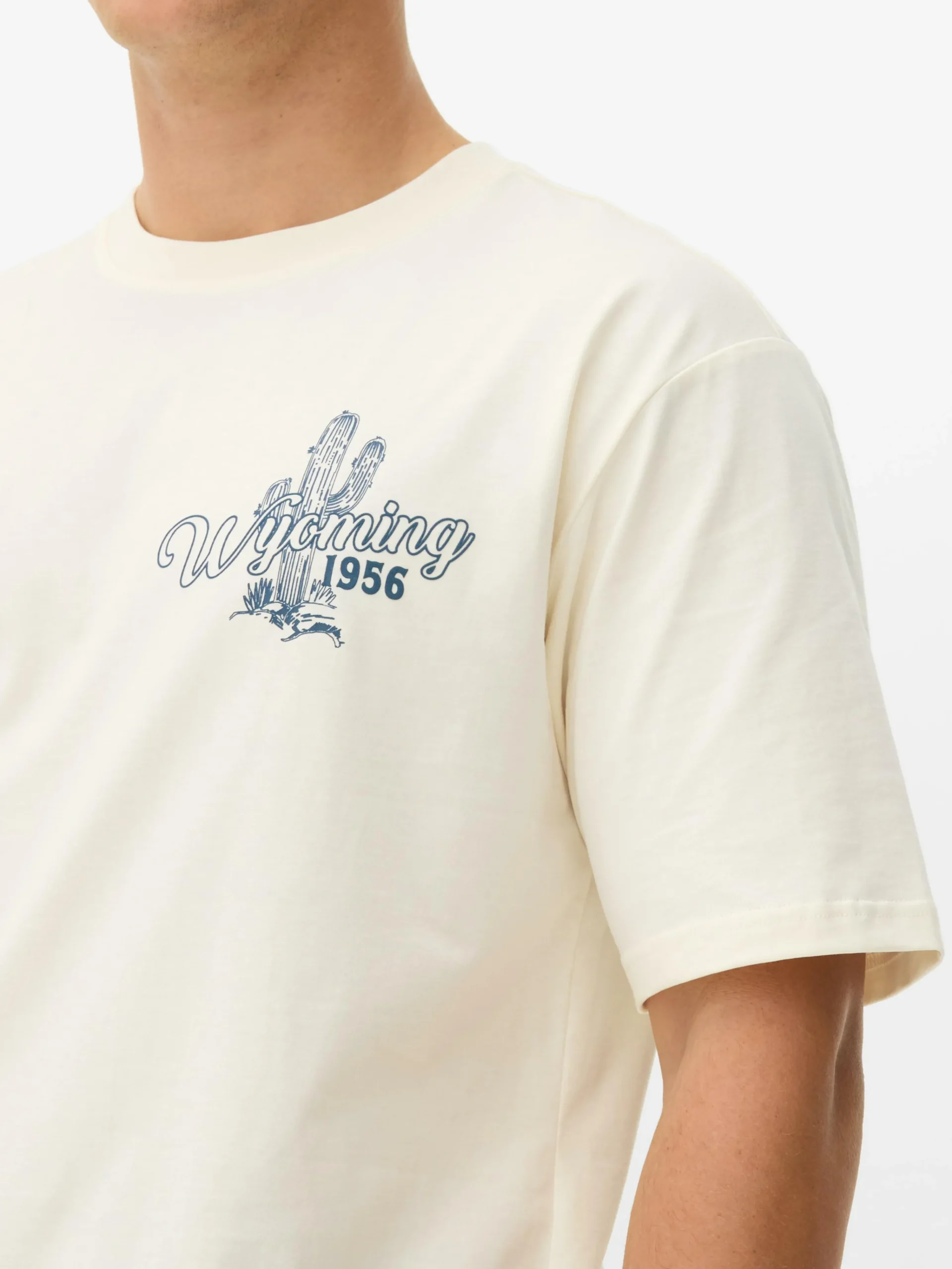 Rodeo Print T-Shirt|Primark Best