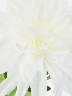 Single Stem Faux Dahlia|Primark Best