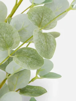 Single Stem Faux Eucalyptus|Primark Hot