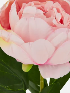 Single Stem Faux Peony|Primark Online