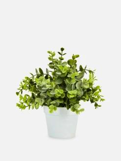 Small Faux Eucalyptus Plant|Primark New