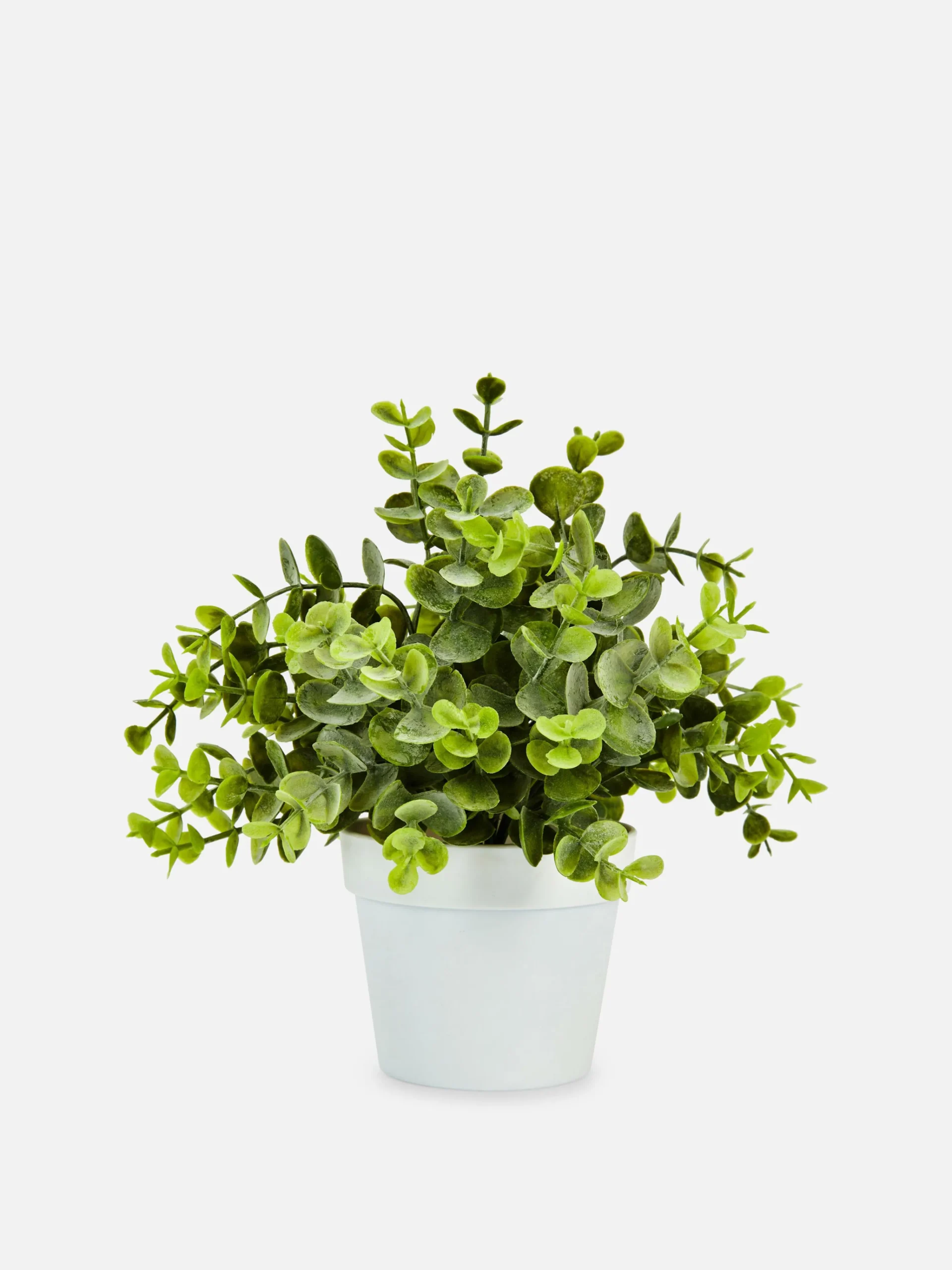 Small Faux Eucalyptus Plant|Primark New