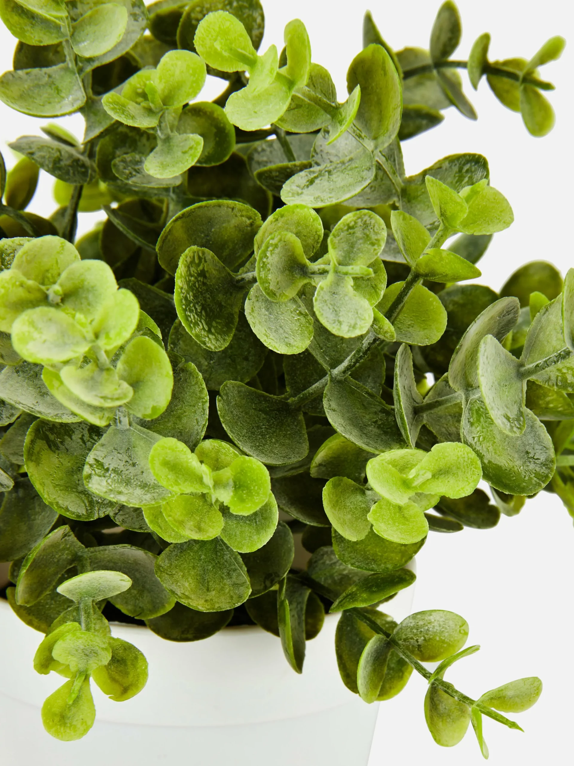 Small Faux Eucalyptus Plant|Primark New
