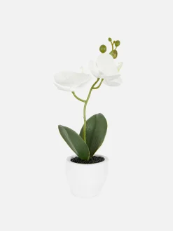 Small Potted Faux Orchid|Primark Sale