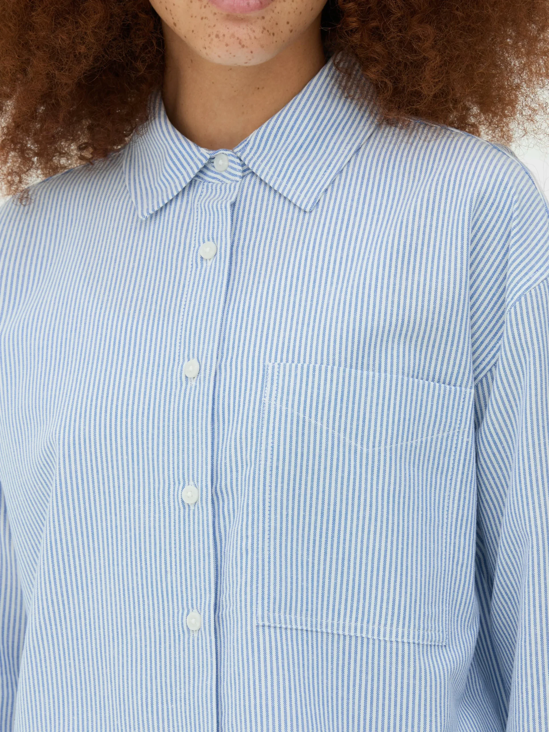 Striped Oxford Shirt|Primark Discount